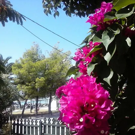 Ricci Studio Apartment Nikiti (Sithonia)